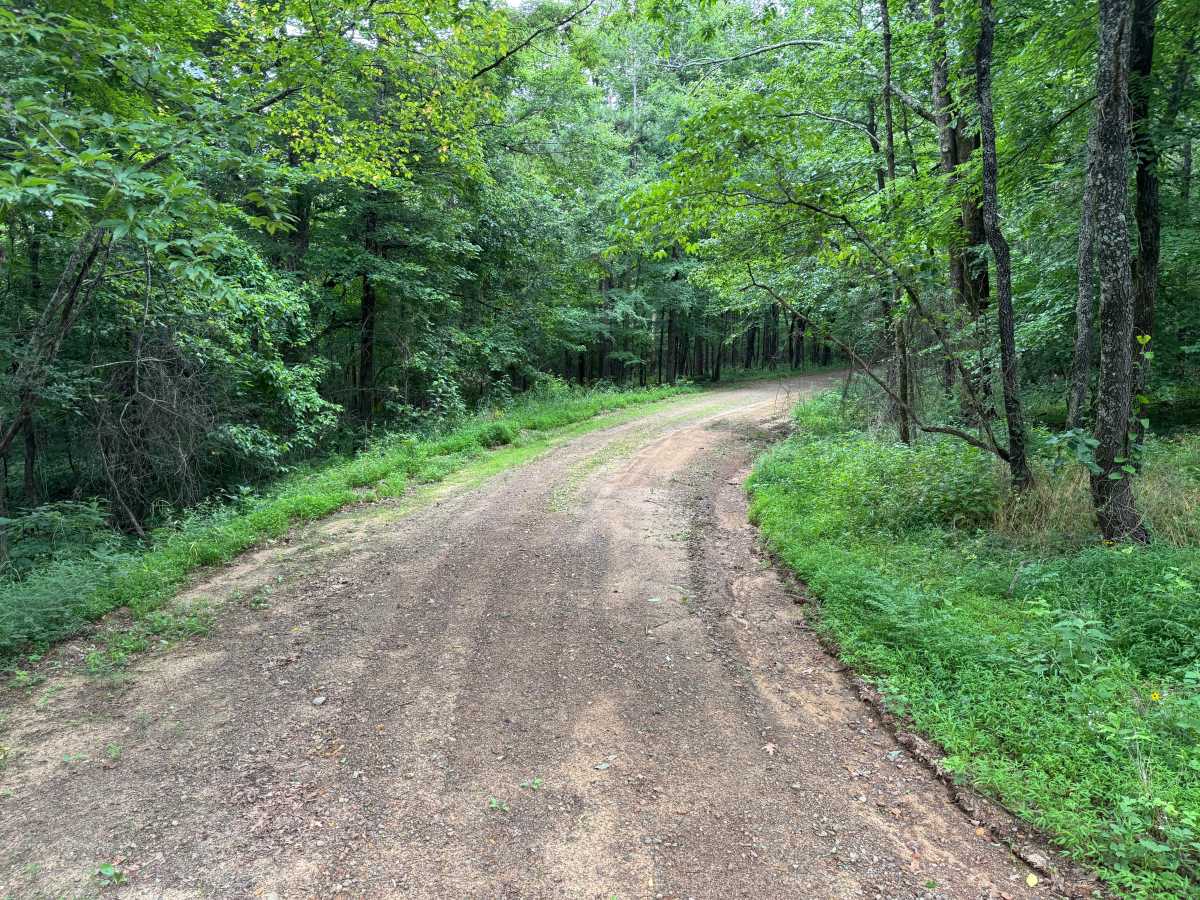 Bonanza trail photo