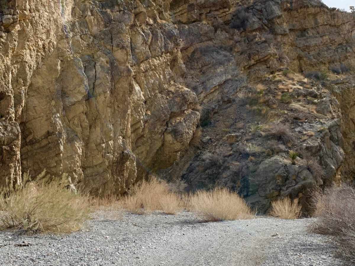 Upper Wheeler Wash photo 3