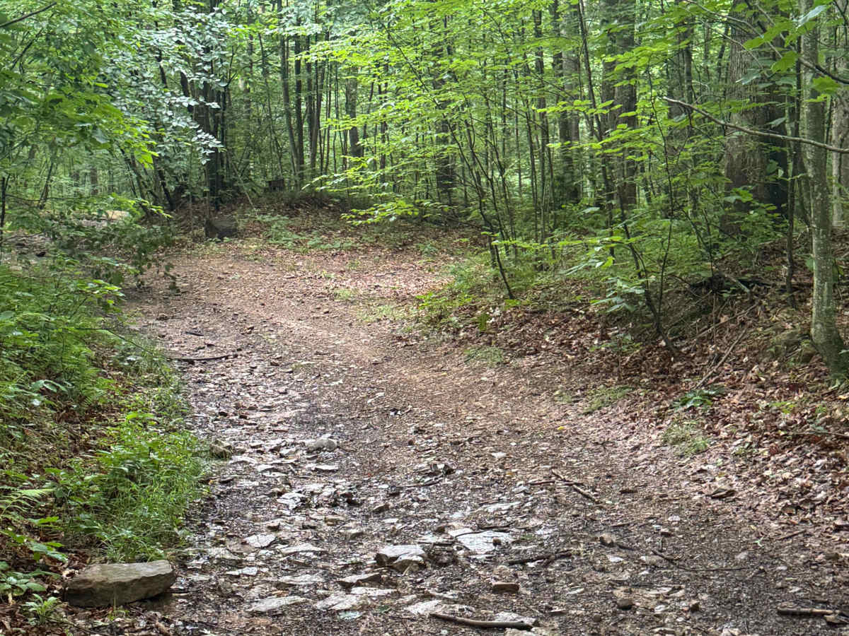 Trail 61 photo 3