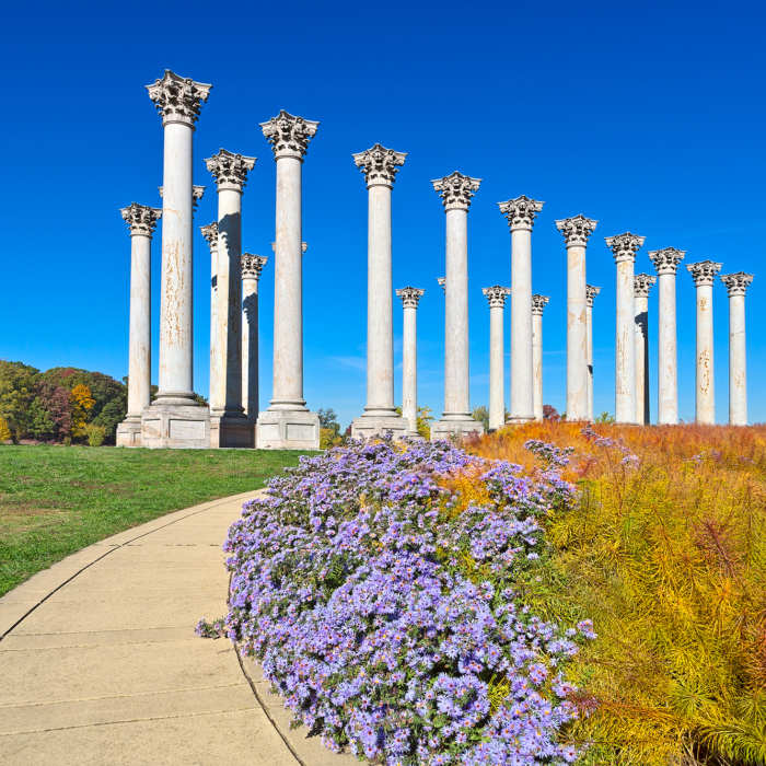 Capitol Arboretum Columns Near National Arboretum Figure-Eight
