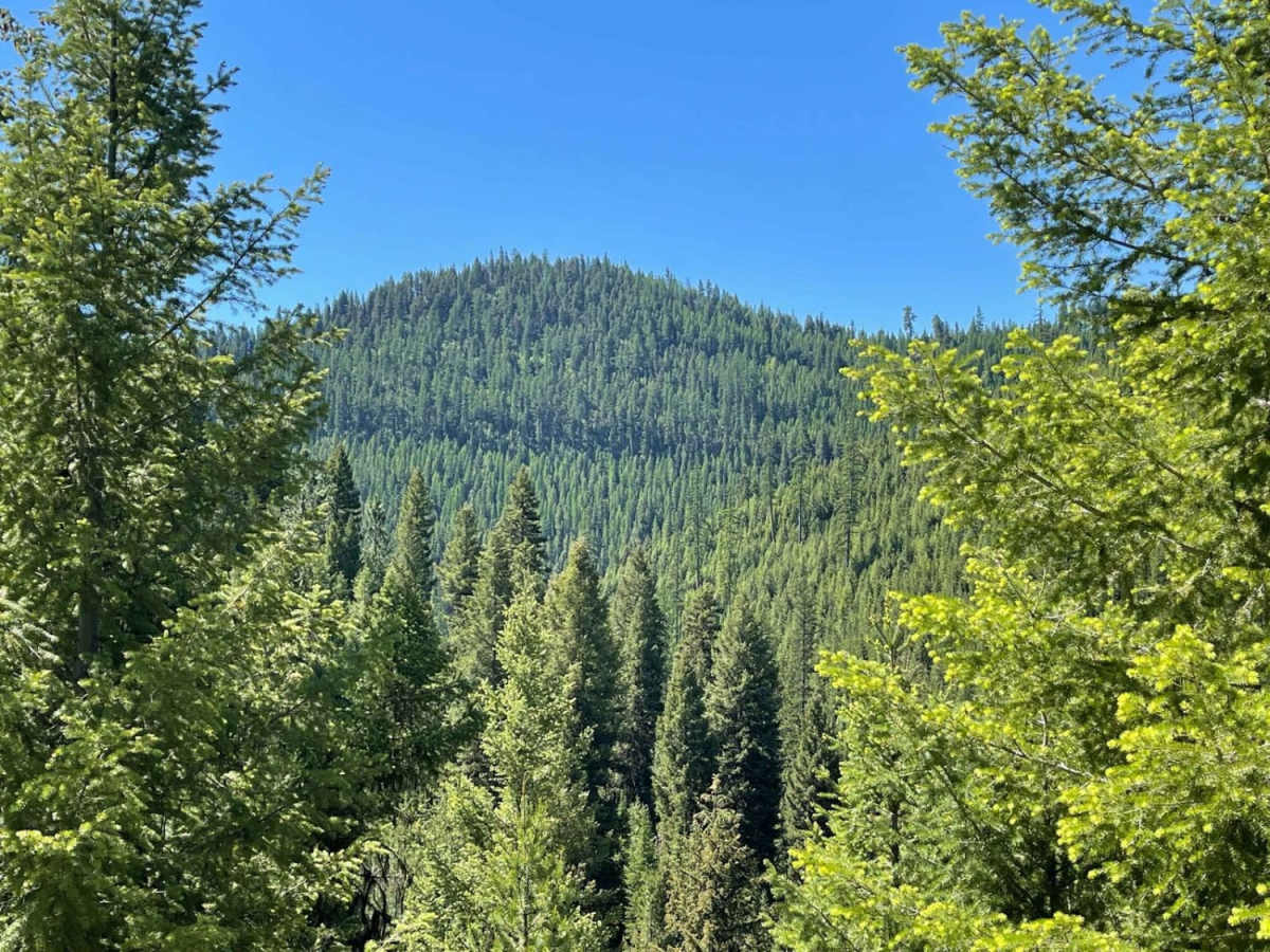 Obsidian Point photo 4