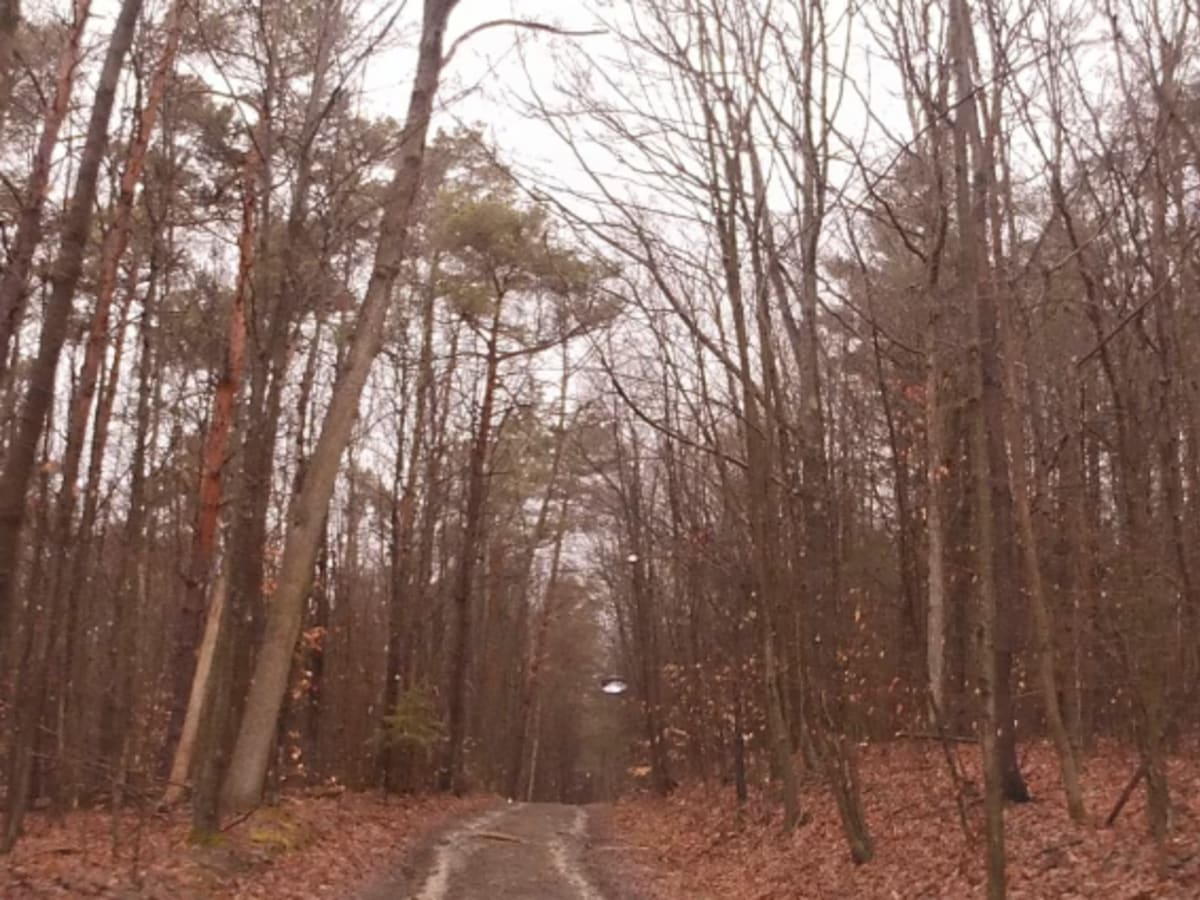 Hammond Hill Track photo 2