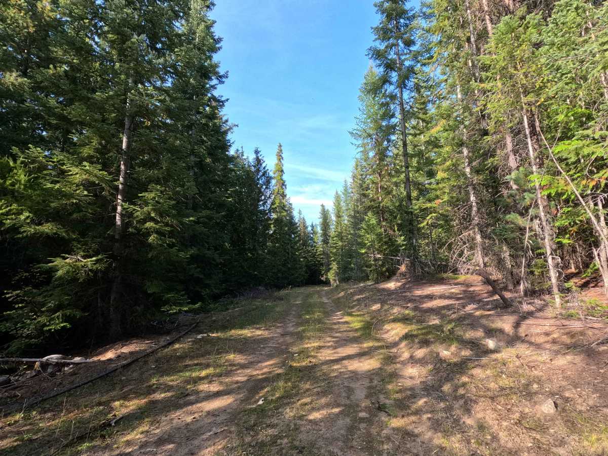 FS 3140510 photo 2
