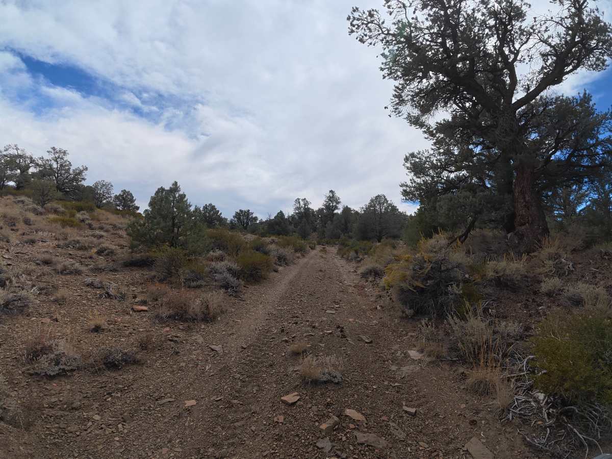 FS 35E304 trail photo