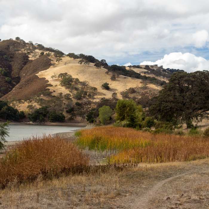 Near Hetch Hetchy Trail