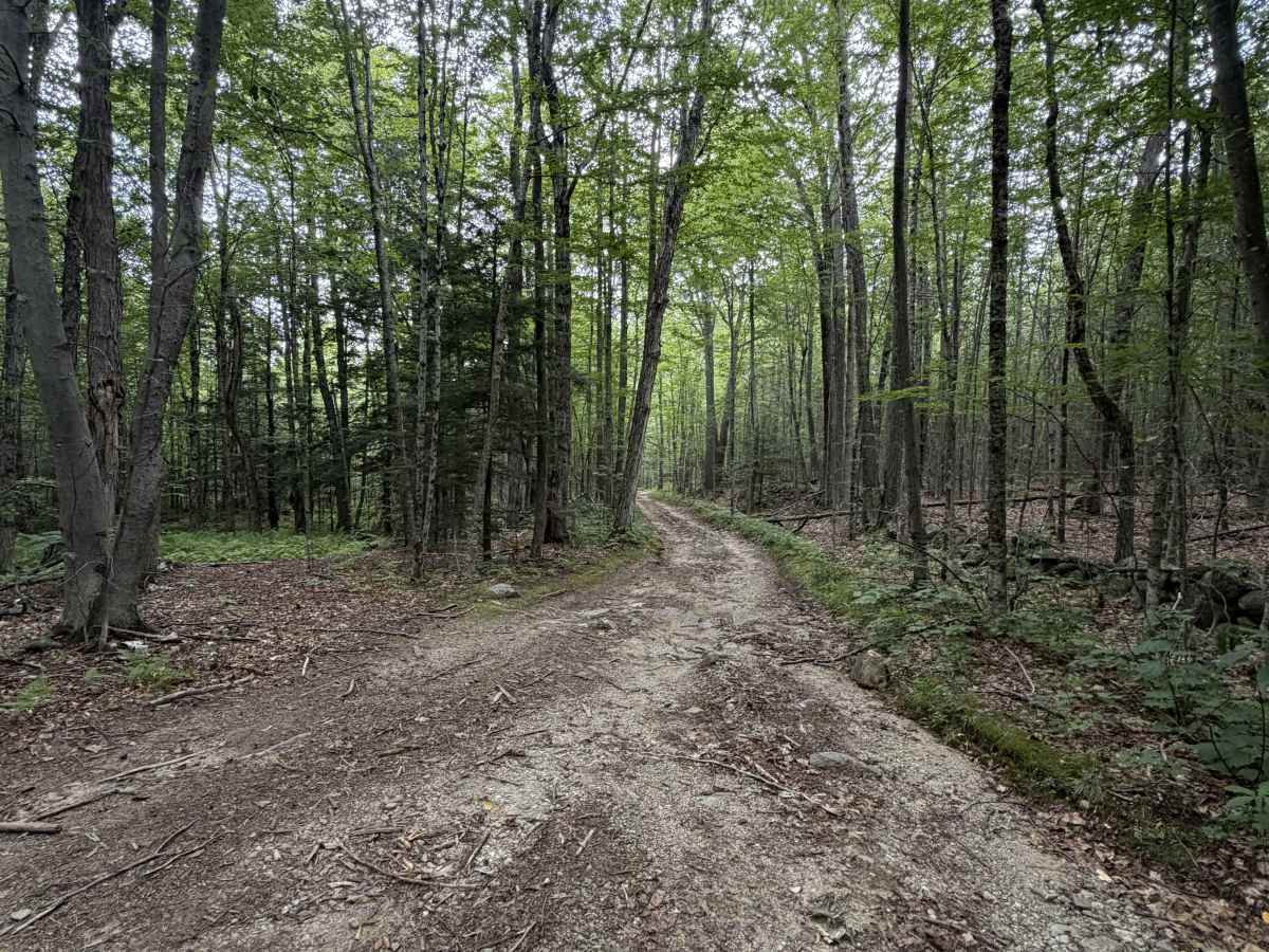 Loud Lane trail photo