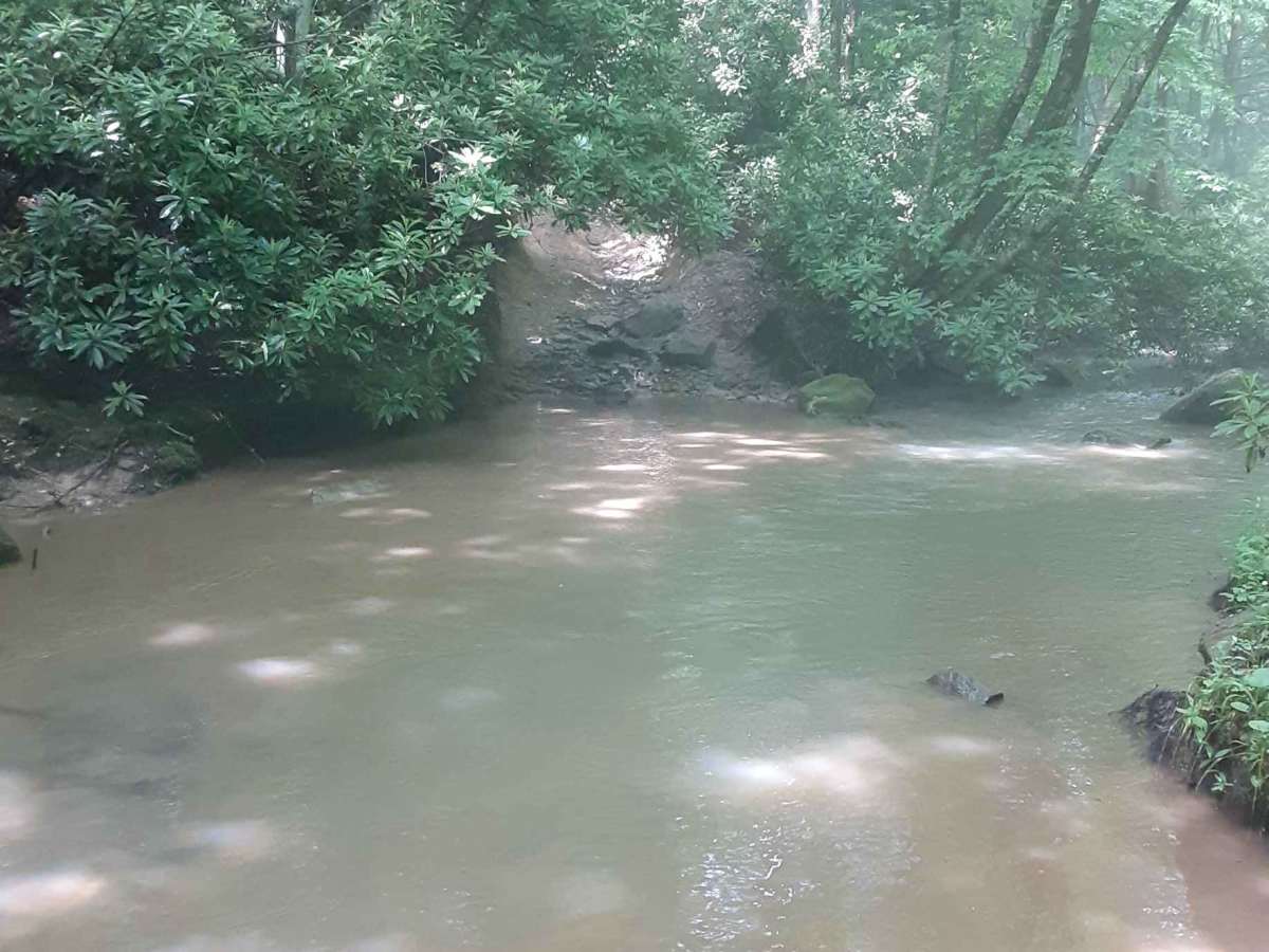 Camp Creek Trail photo 2