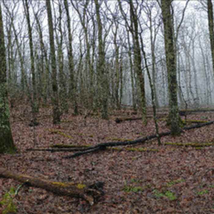 Near Hidden Valley Loop