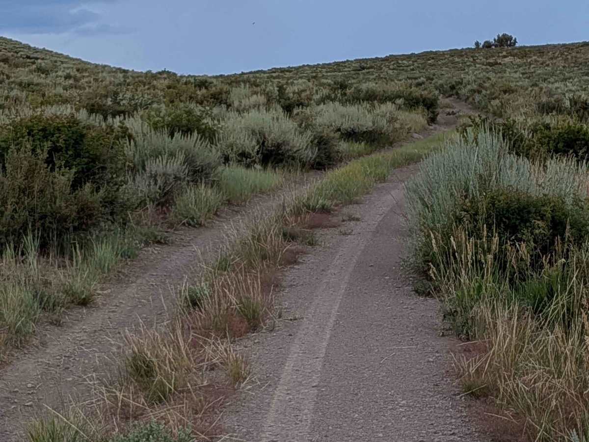 Shepherd Road - FS 31354 photo 2
