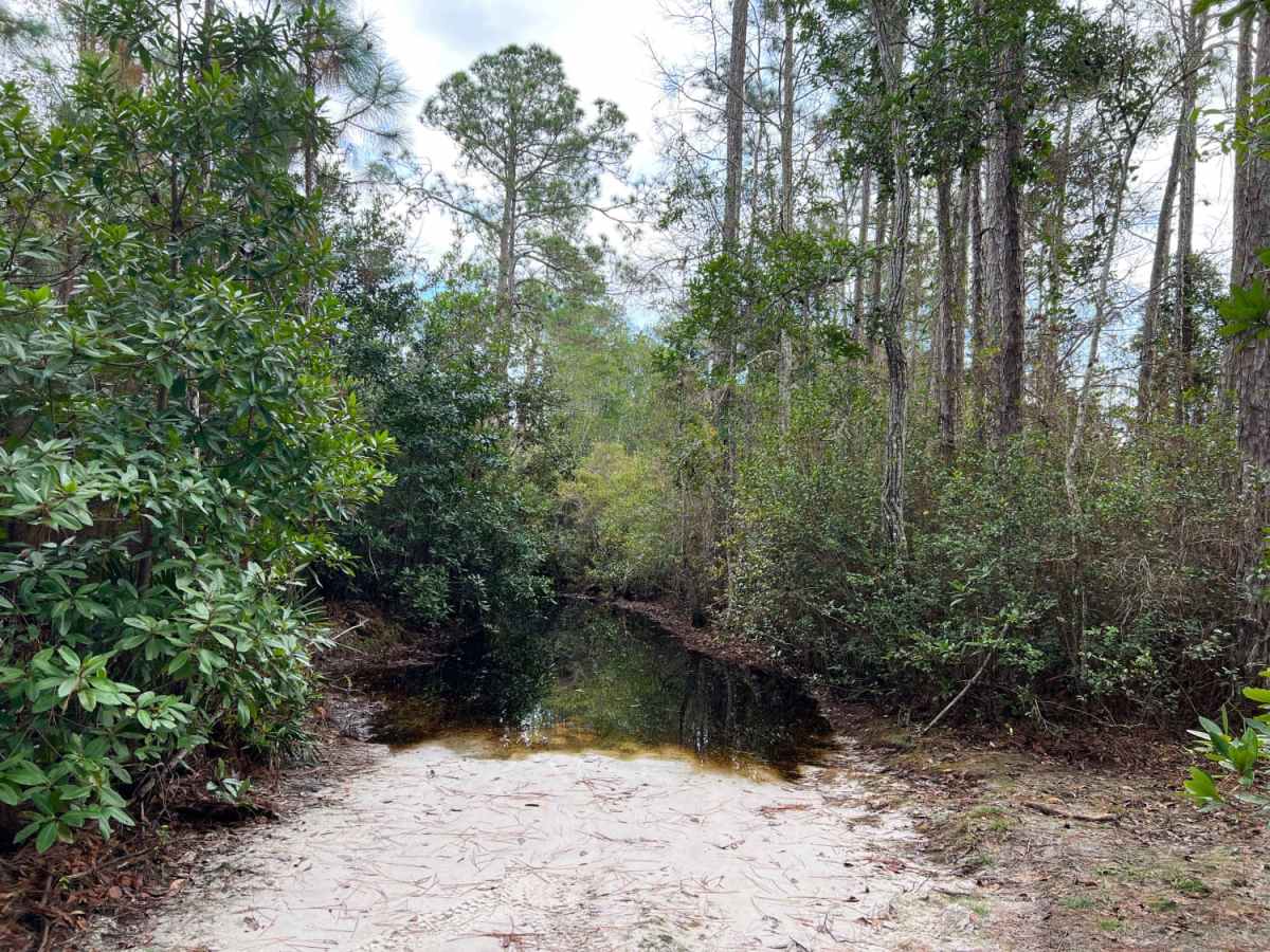 River Road Turn Around photo 4