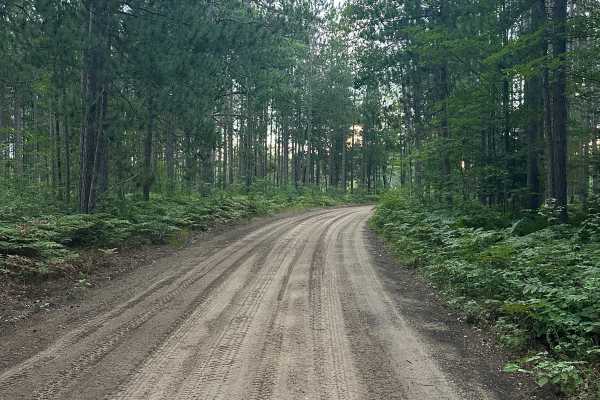 Barney Lake Road