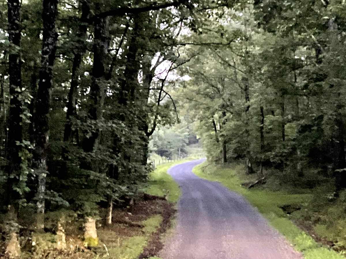 Locust Bottom  photo 2