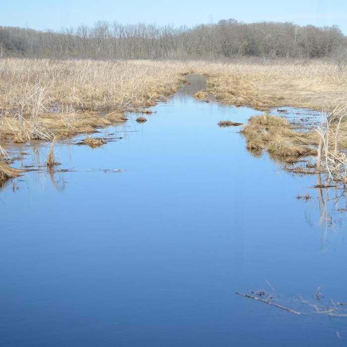 Near Hiking Club Trail