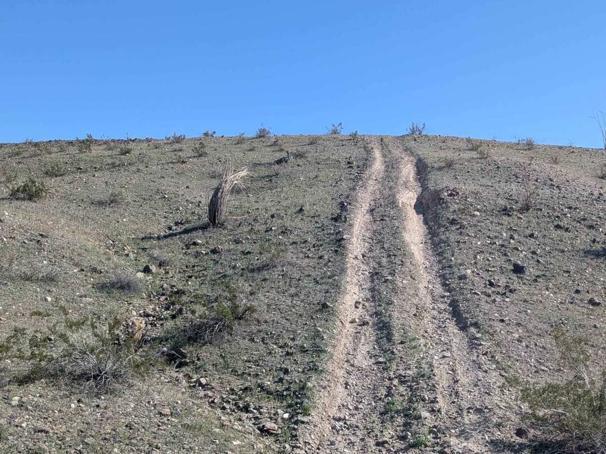 EC1299 trail photo