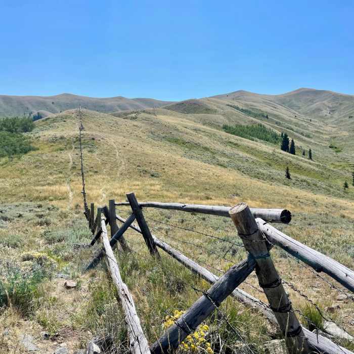 Near Continental Divide Trail: Montana-Idaho Section 5
