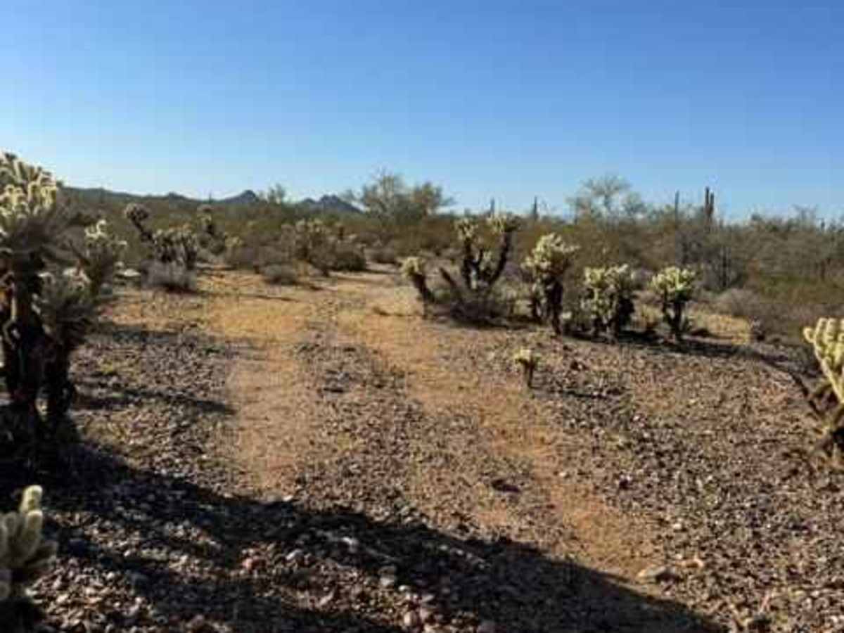 BLM 38069 photo 5