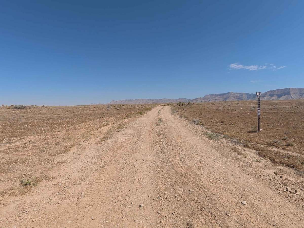 BLM 194 photo 6