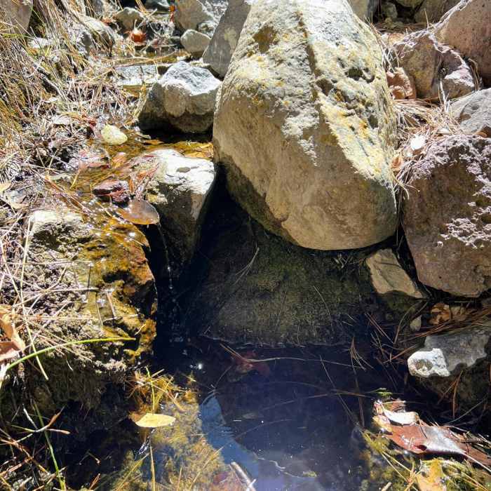 Near Sunnyside Trail No. 117