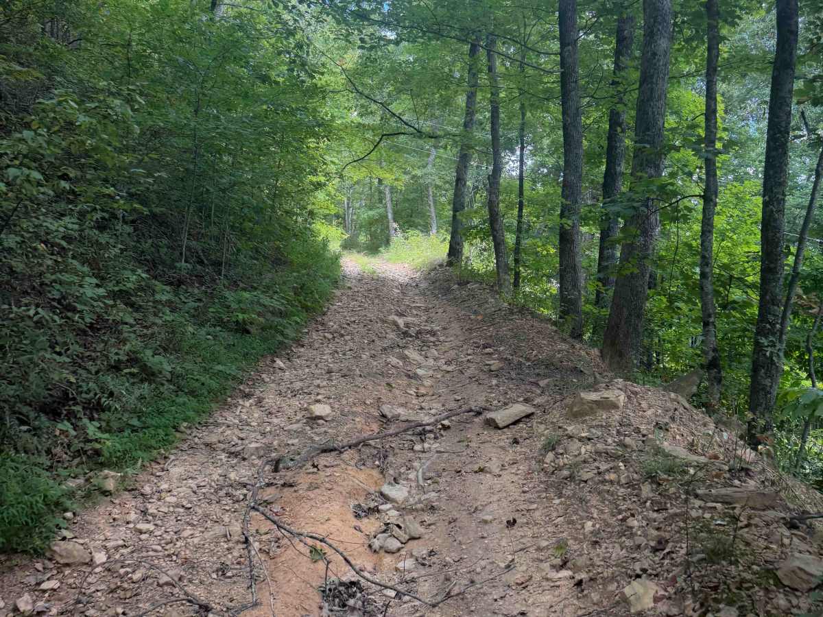 Tower Trail 30  photo 3