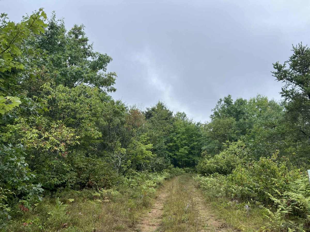FS 3394 trail photo