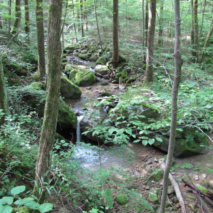 Small creek near South Old Mac Trail Near North & South Old Mac Trail