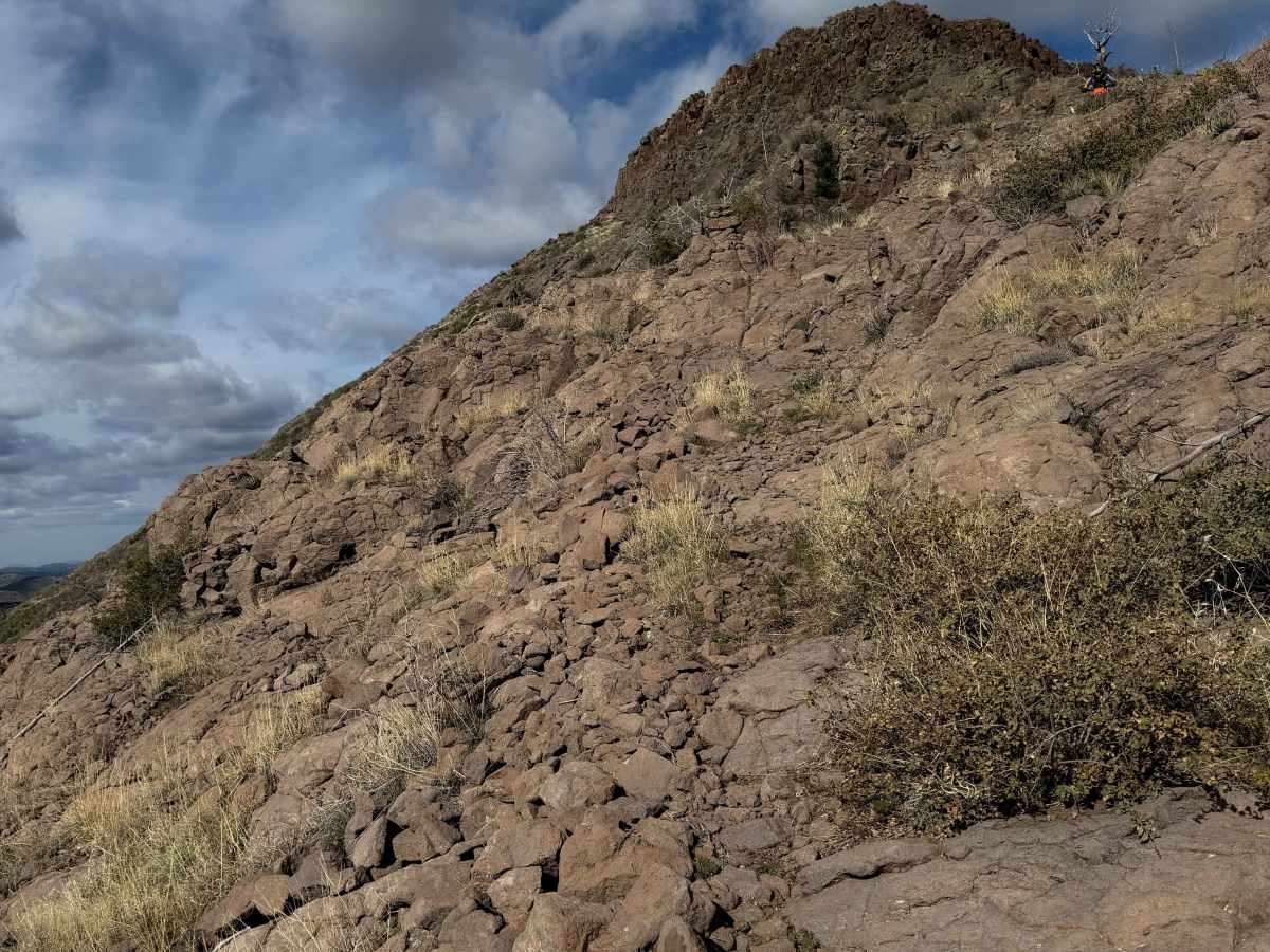 Cottonwood Trail #8 (Singletrack) photo 3