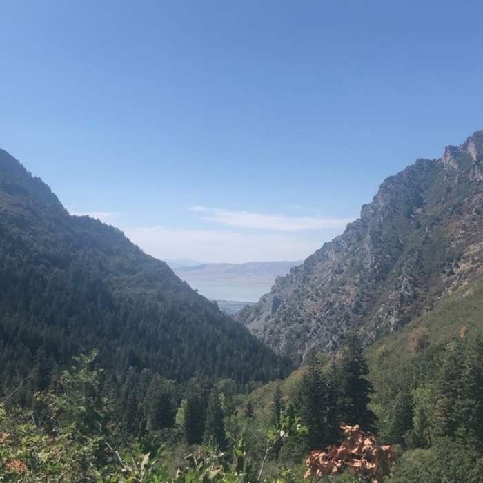 Near Rock Canyon Trail