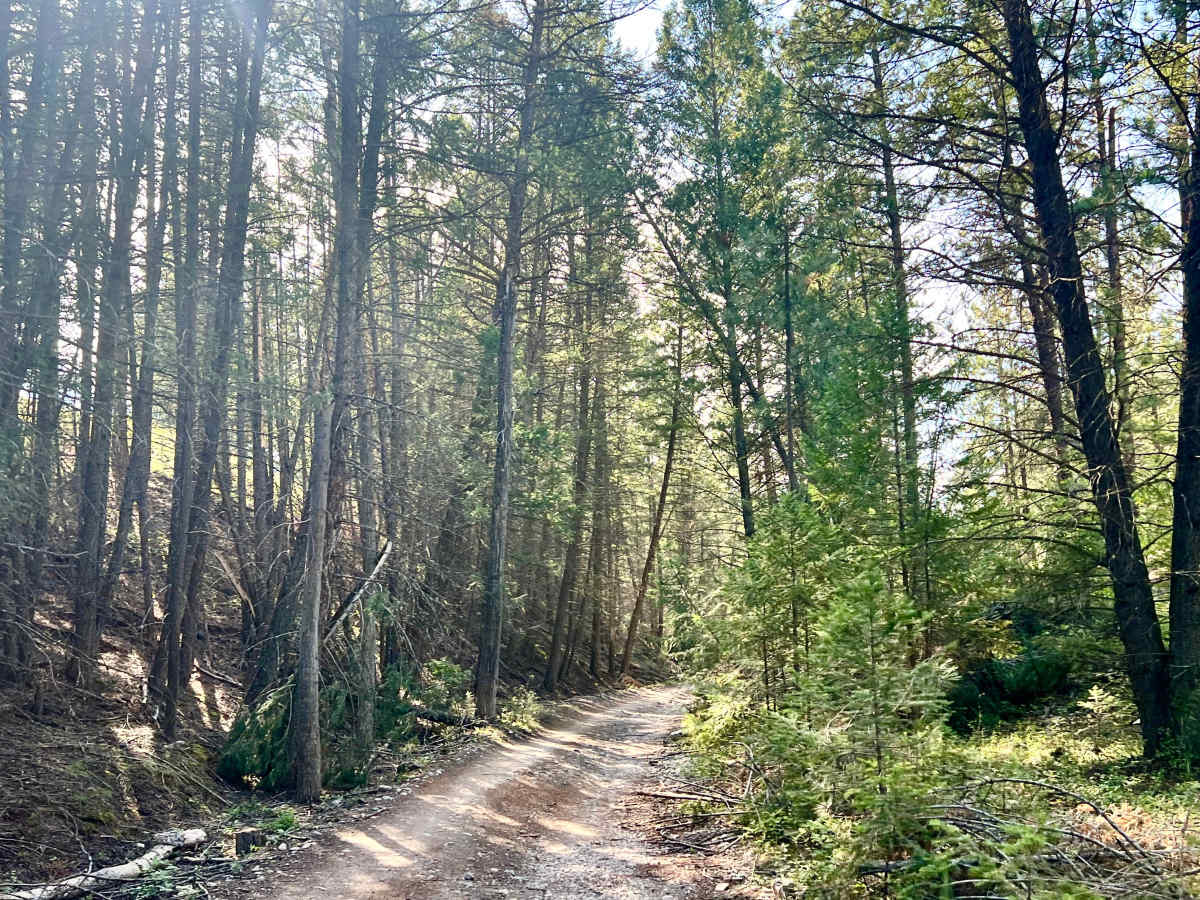 Dorr West Road photo 3