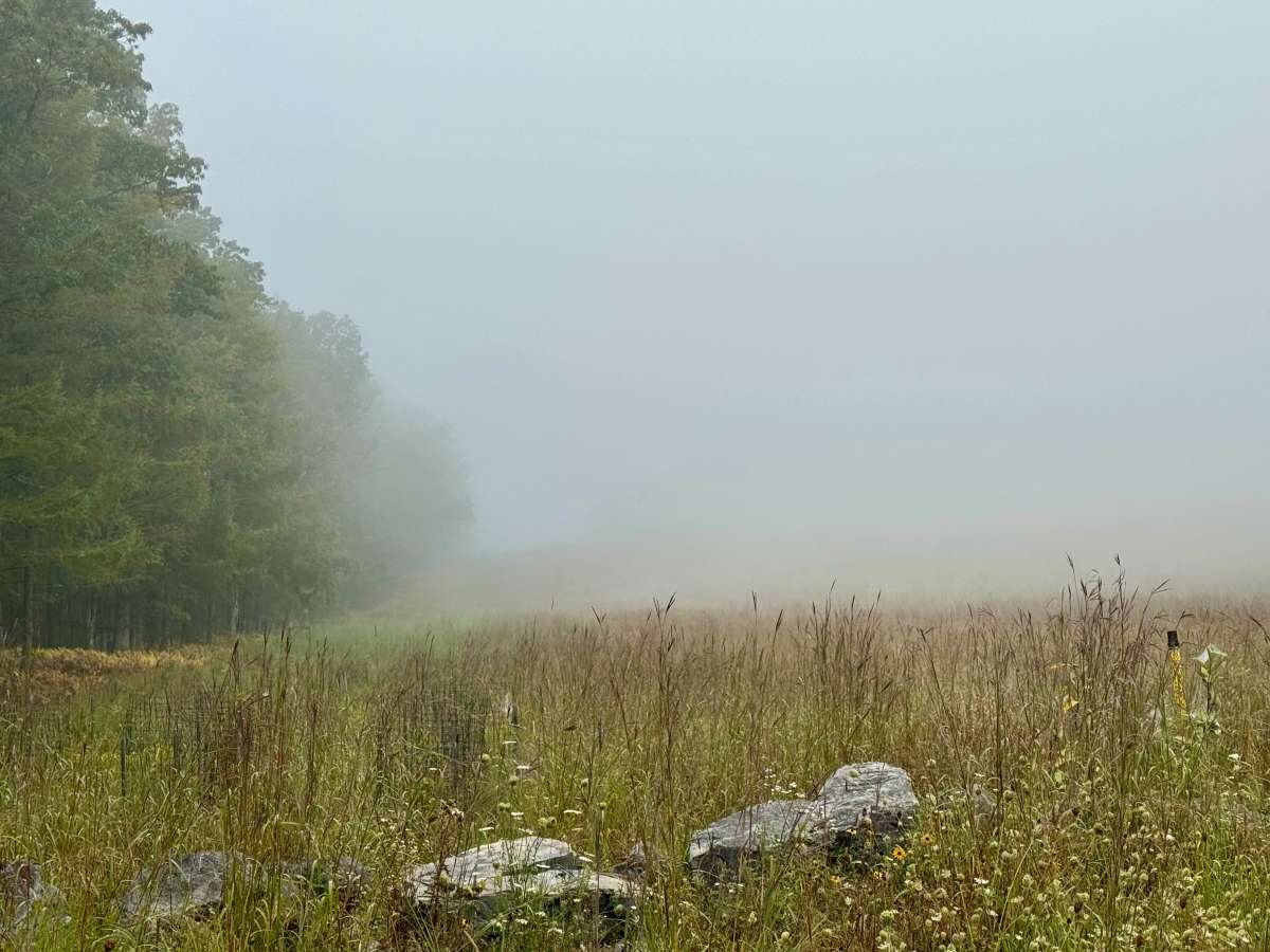 Pfoutz Valley Rd photo 5