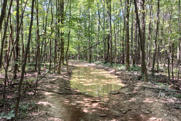 Kit Row - Rock Run Recreation Area