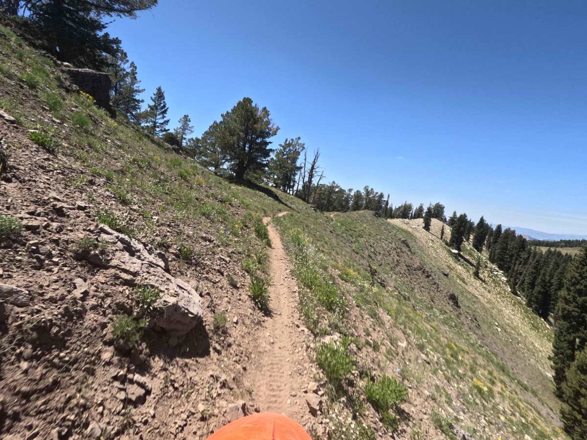 Highline Singletrack trail photo