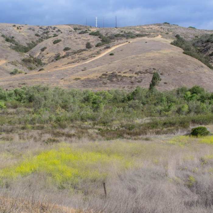 Near Los Penasquitos Canyon Preserve