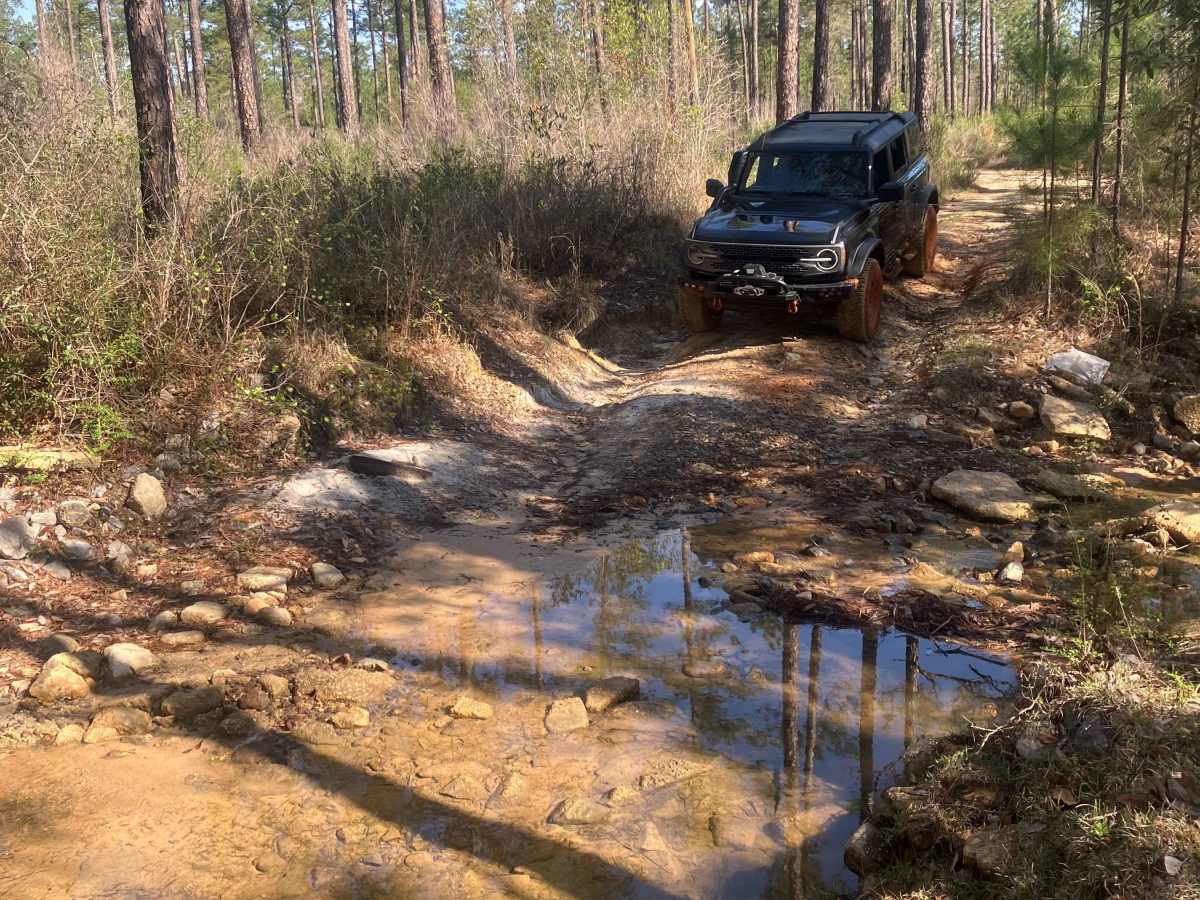 Blue Trail W23 trail photo