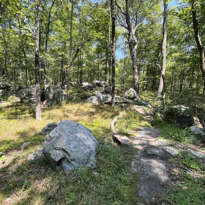 Near Iron Mine Trail Near Iron Mine Trail