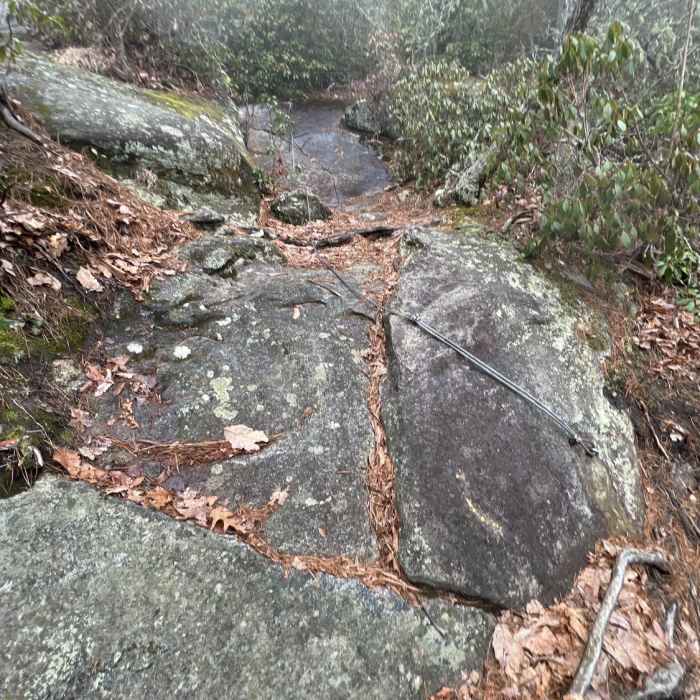 Near Grotto Trail