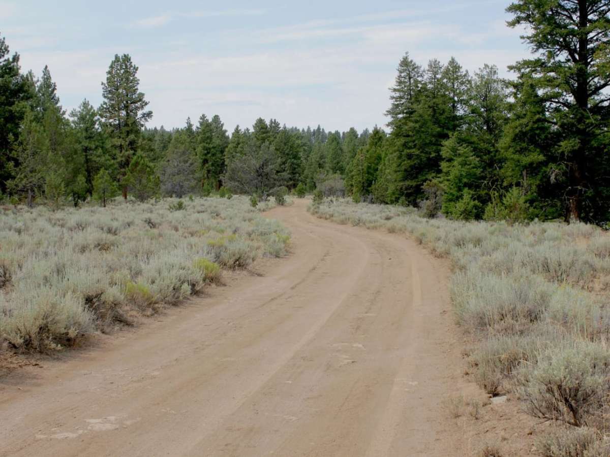 Lost Creek photo 4