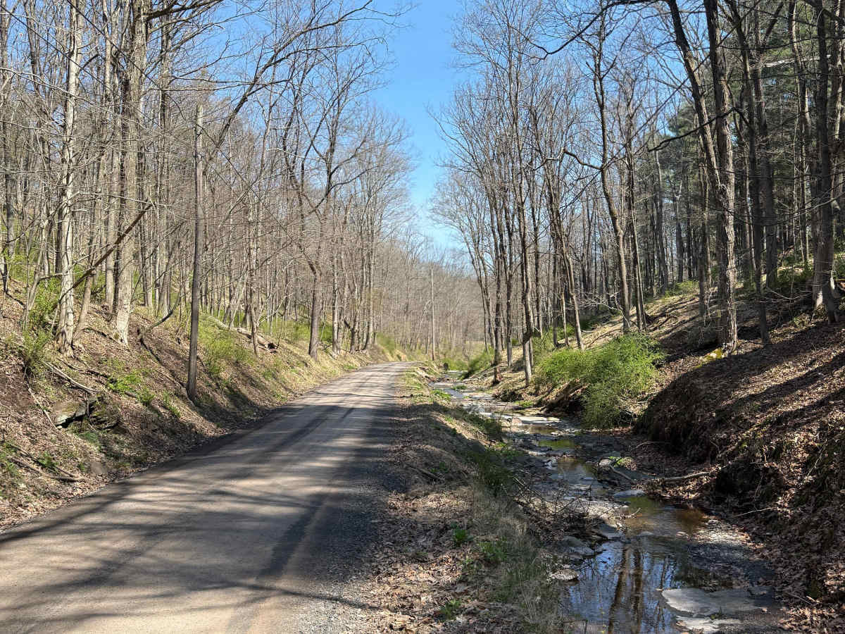 Permanent School Road trail photo