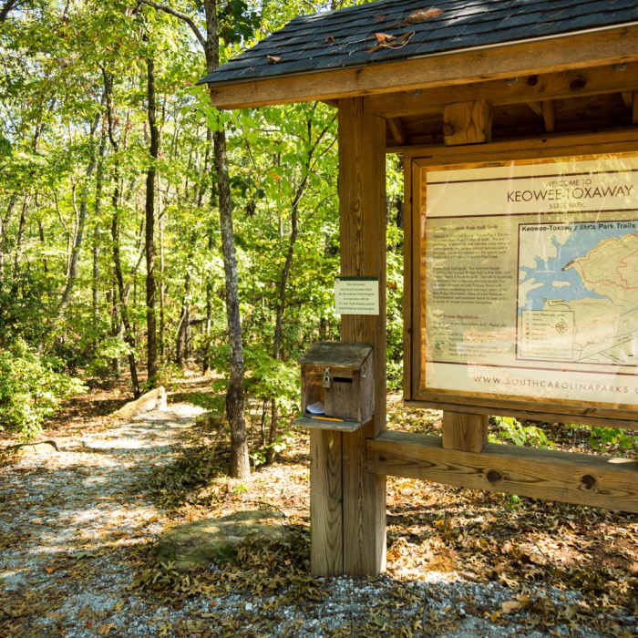 Near Natural Bridge Trail