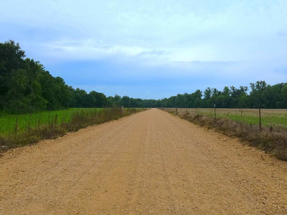 Glenallen Road - BCR 804 photo 6