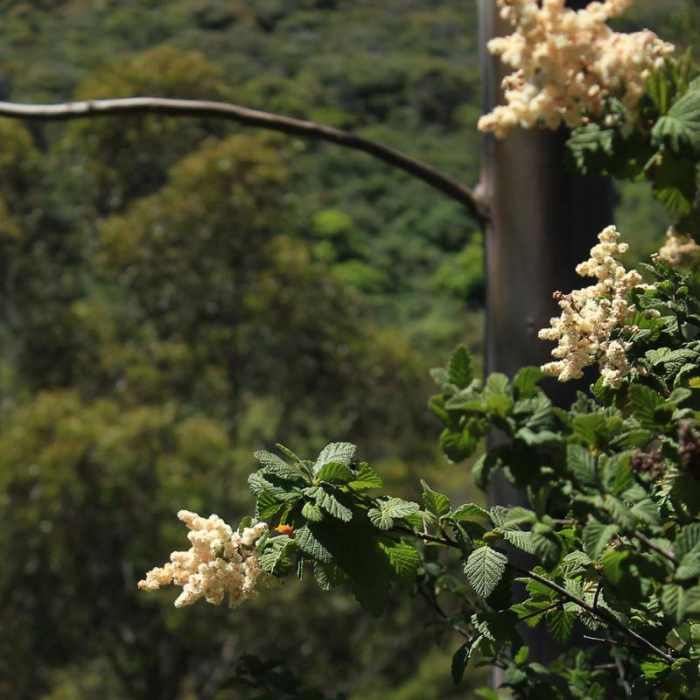 Near Montara Mountain Trail