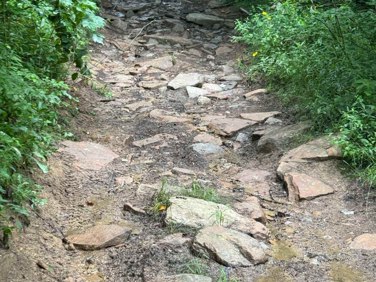 Trail 67 photo 2
