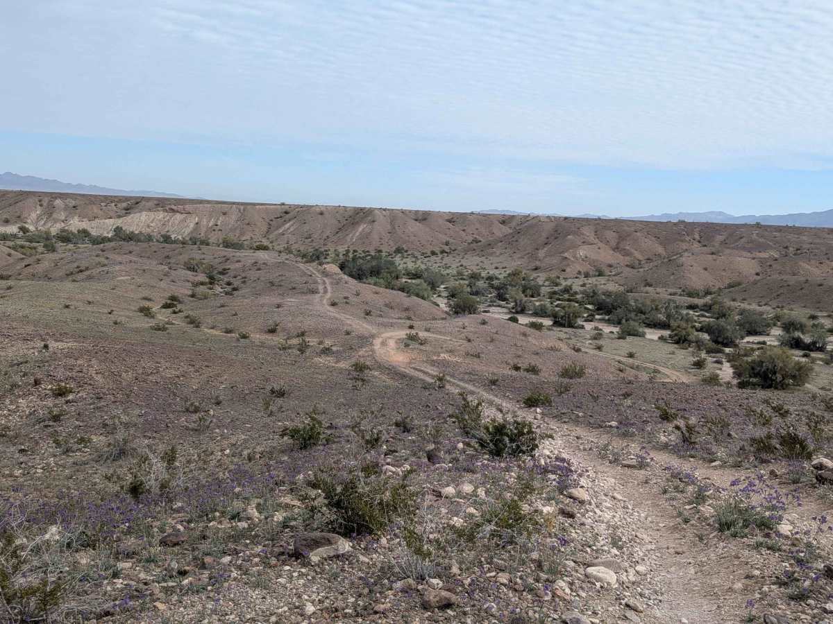 EC1195 photo 2