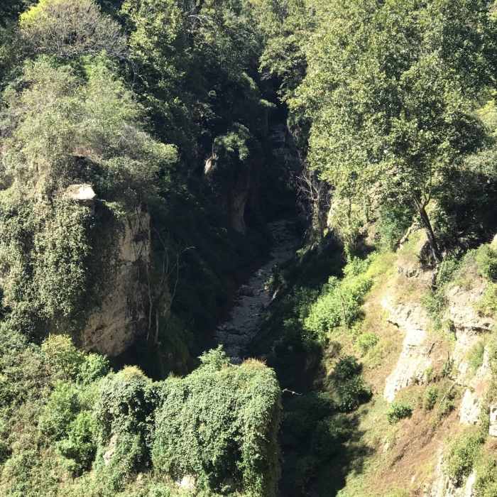 Near Natural Bridge Trail