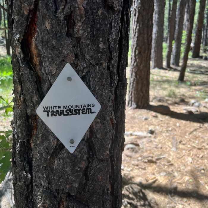 Near Springs Trail Near Springs Trail