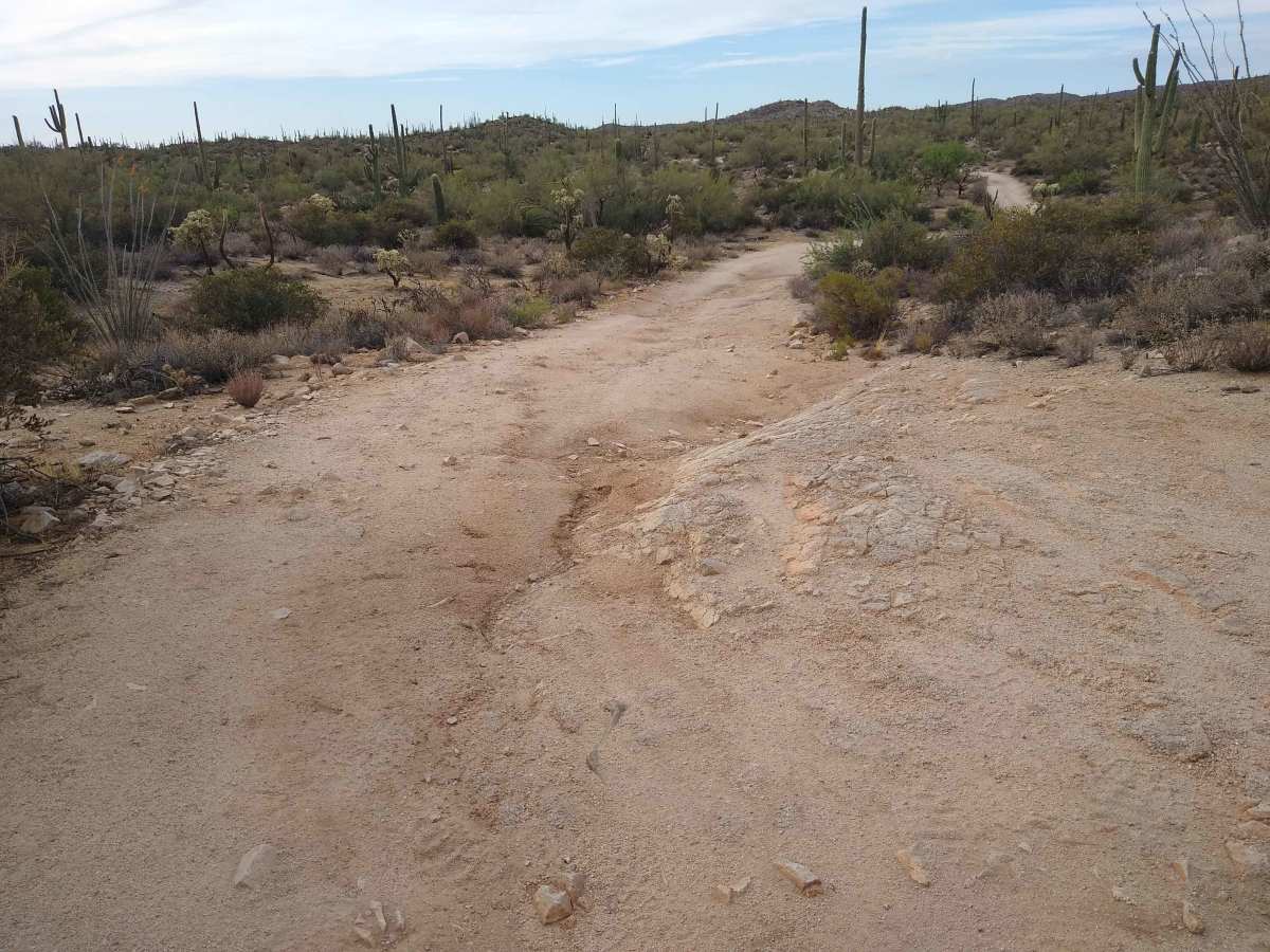 96 Hills Trail photo 4