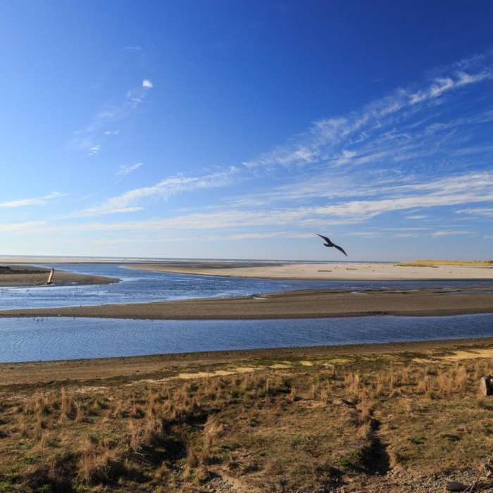 Near Oregon Coast Trail Section 1