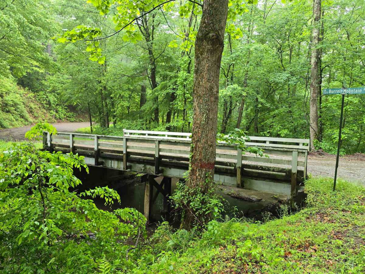 Burrell Mountain (State Road 1325) photo 2