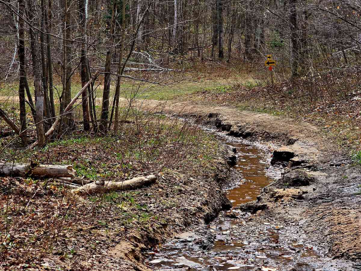 Gillette Road  photo 5