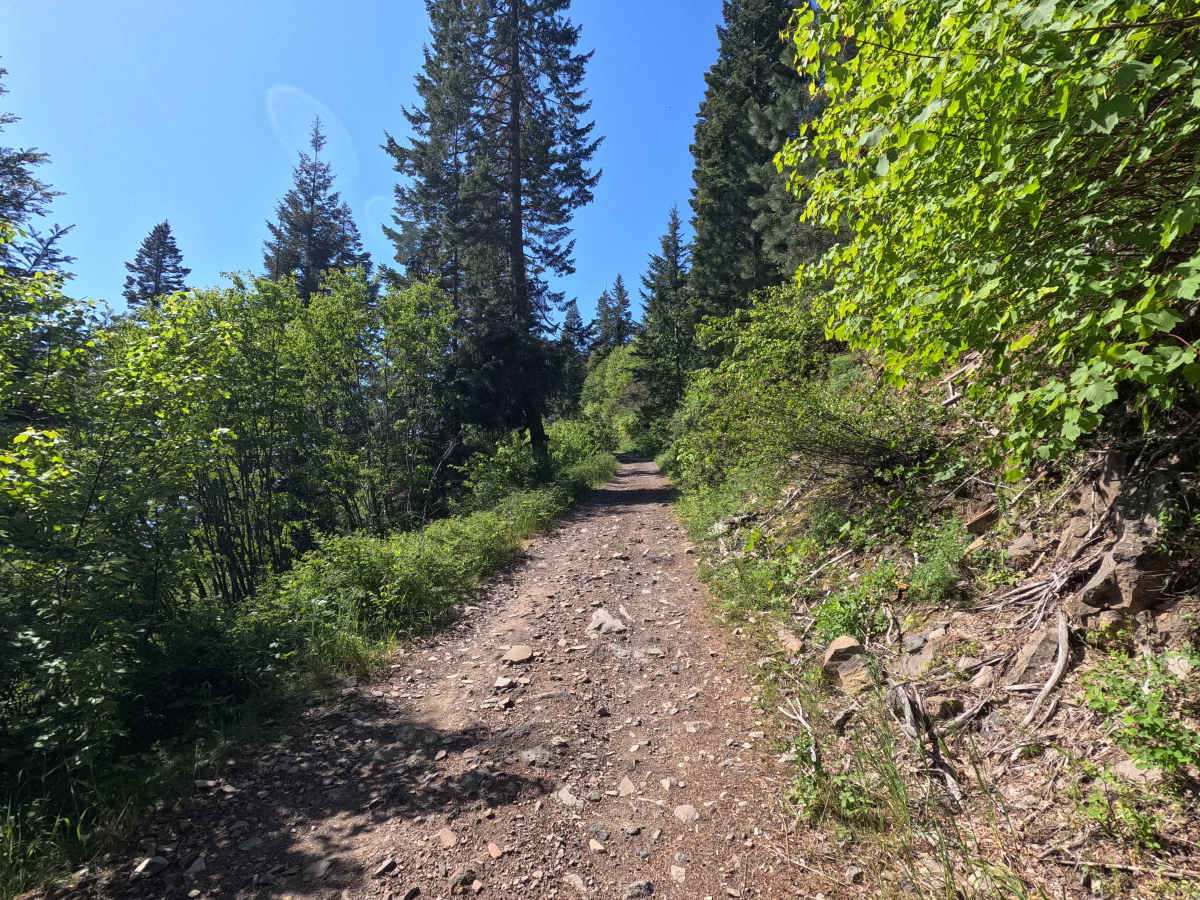 Highline - Trail 203 photo 4