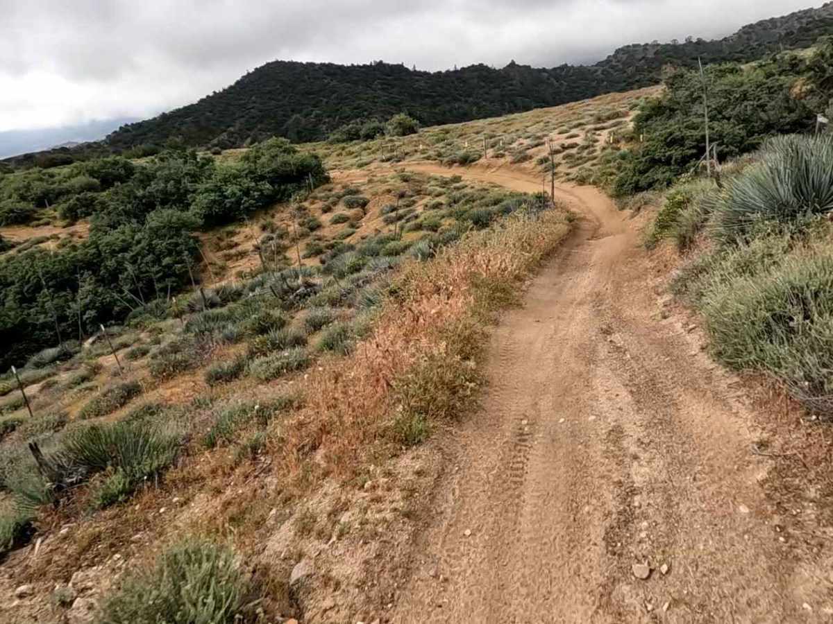Coyote Trail photo 3